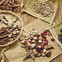 World Traditional Medicine Day