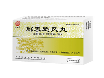 Jie Biao Zhui Feng Wan